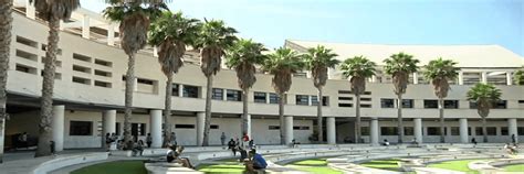 Alicante Üniversitesi